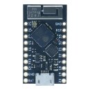 CrowdSupply ESP32-Entwicklungsboard