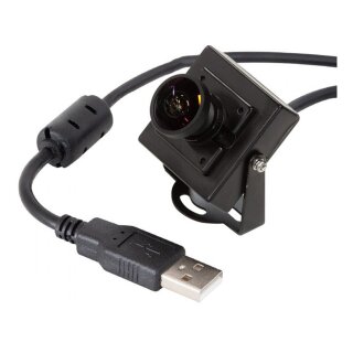 Arducam B026101 Fisheye Low Light USB Camera with Mini Metal Case