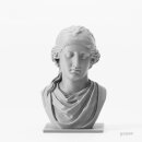 Bambu Lab PLA Matte Filament auf Spule 11102 Ash Gray