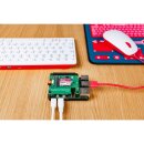 Official Raspberry Pi SSD Kit 256GB