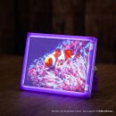 Bambu Lab PETG Translucent Refill Filament 32700 Purple