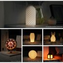 Bambu Lab MH001 LED-Lampen-Set