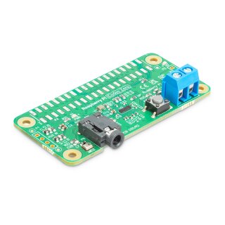 Offizielles Raspberry Pi Codec Zero HAT